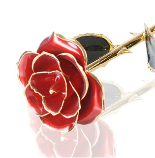 24K Gold Plated Eternal Rose with Stand